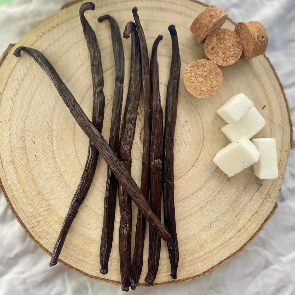 Vanilleschoten von Madagaskar