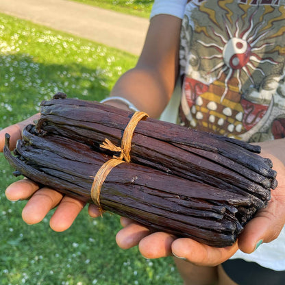 Vanilleschoten von Madagaskar